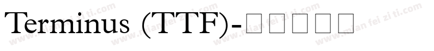 Terminus (TTF)字体转换